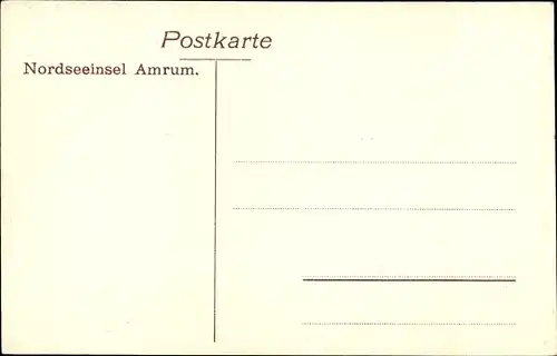 Künstler Ak Weidemann, M., Amrum in Nordfriesland, Dünenlandschaft