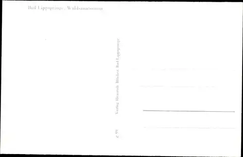 Ak Bad Lippspringe in Westfalen, Waldsanatorium