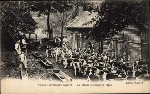 Ak Villers Cotterêts Aisne, La Meute attendant le repas