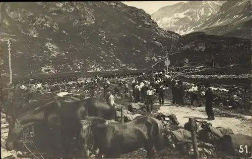 Foto Ak Männer und Pferde im Tal, Gebirge