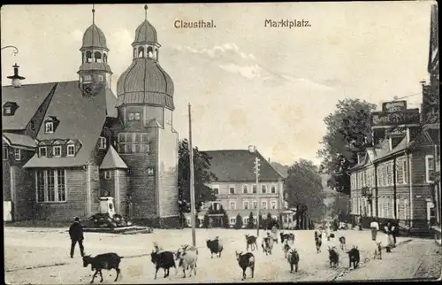 Ak Clausthal Zellerfeld im Oberharz, Ziegen auf dem Marktplatz