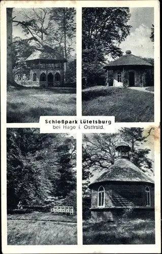 Ak Lütetsburg in Ostfriesland, Partie im Schlosspark