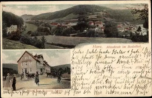 Ak Altenbrak Thale im Harz, Stadtpanorama, Blick auf das Hotel zum braunen Hirsch