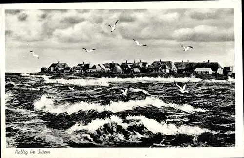 Ak Hallig Hooge in Nordfriesland, See, Sturm, Panorama, Möwen