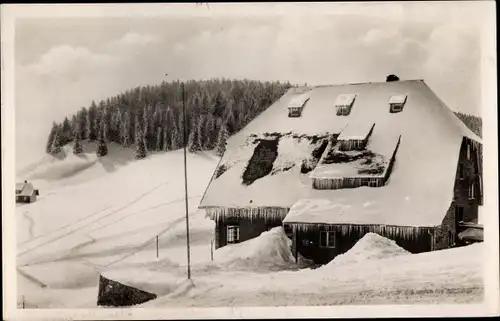 Ak Todtnauberg im Schwarzwald, Jugendherberge