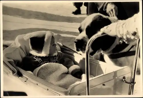 Ak Grindelwald Kt. Bern Schweiz, Prinzessin Beatrix der Niederlande im Kinderwagen, Bernhardiner