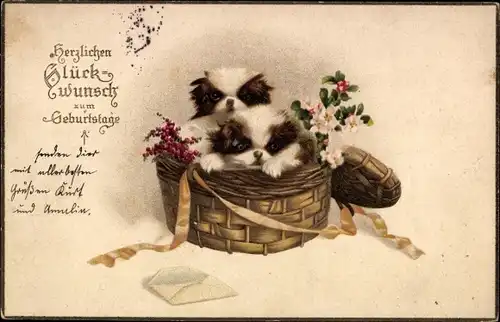 Ak Glückwunsch Geburtstag, Zwei Hunde in einem Korb, Blüten