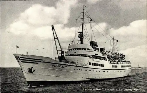 Ak Cuxhaven in Niedersachsen, DES Bunte Kuh, Seebäderschiff, HADAG