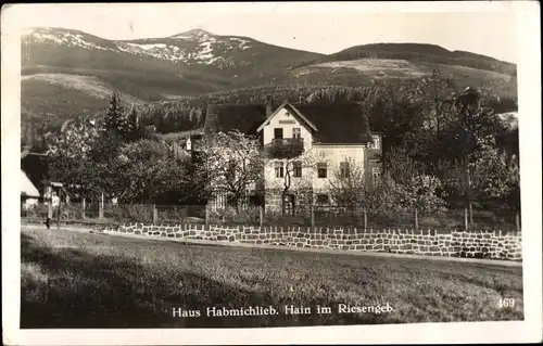 Ak Przesieka Hain Podgórzyn Giersdorf Riesengebirge Schlesien, Pension Haus Habmichlieb