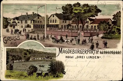 Litho Magdeburgerforth Möckern Jerichower Land, Hotel Drei Linden, Neues u. Altes Gasthaus,Eichberge