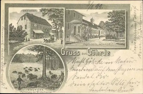 Litho Göhrde in Niedersachsen, Gasthof, Jagdschloss Göhrde, Saupark, Wildschweine