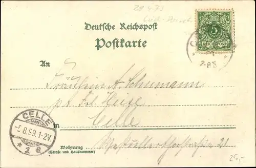 Litho Göhrde in Niedersachsen, Gasthof, Jagdschloss Göhrde, Saupark, Wildschweine