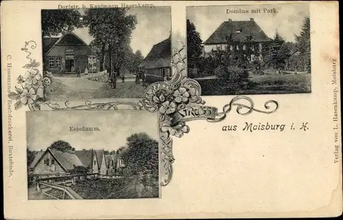 Ak Moisburg in Niedersachsen, Dorfstraße, Domäne mit Park, Estedamm, Geschäft