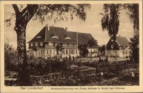 Ak Horst in Niedersachsen, Spargelanlage Lindenhof