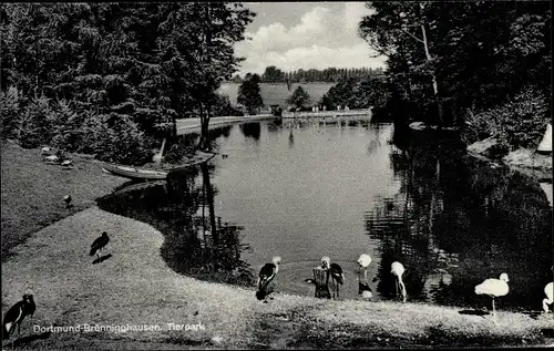 Ak Brünninghausen Dortmund, Teichpartie im Tierpark