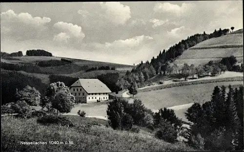 Ak Nessellachen Breitnau im Schwarzwald, Panorama, Gasthaus z. Rössle