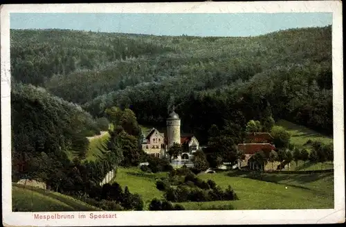 Ak Mespelbrunn in Unterfranken, Schloss, Waldpartie