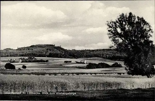 Ak Bad Holzhausen Preußisch Oldendorf in Westfalen, Wiehengebirge, Panorama