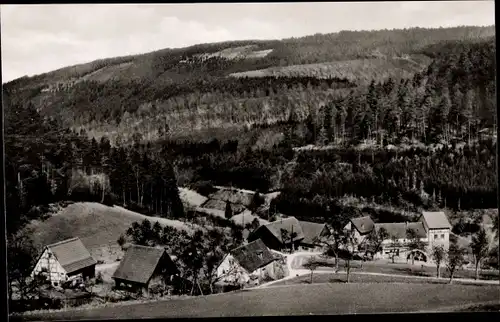 Ak Oberhöllgrund Waldbrunn im Odenwald, Panorama