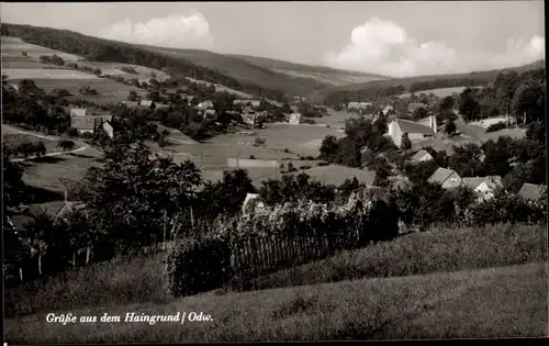 Ak Haingrund Lützelbach im Odenwald Hessen, Panorama