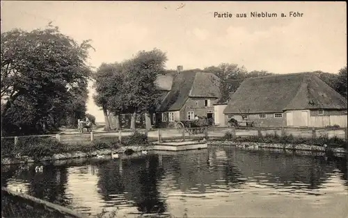 Ak Nieblum auf der Insel Föhr Nordfriesland, Teich, Ort