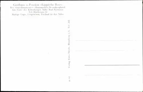 Ak Hummersen Lügde im Weserbergland, Pension Lippische Rose