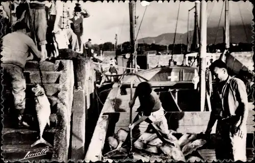 Ak Saint Jean de Luz Pyrénées Atlantiques, Le dechargement des thons au retour de la peche