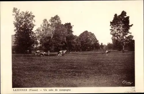 Ak Lézinnes Yonne, Un coin de campagne