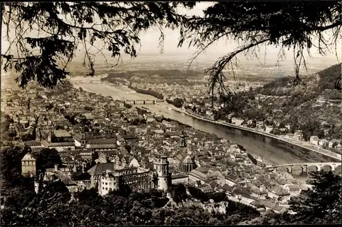 Ak Heidelberg am Neckar, Blick vom Rindenhäuschen auf den Ort