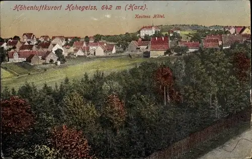 Ak Hohegeiß Braunlage im Oberharz, Teilansicht mit Kastens Hotel