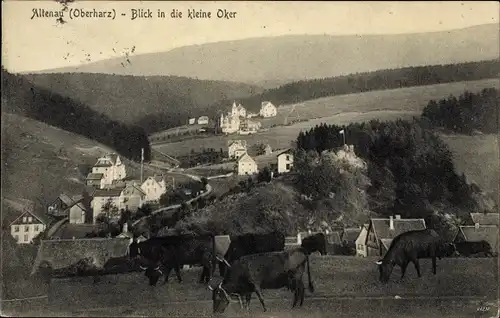 Ak Altenau Clausthal Zellerfeld im Oberharz, Blick in die kleine Oker