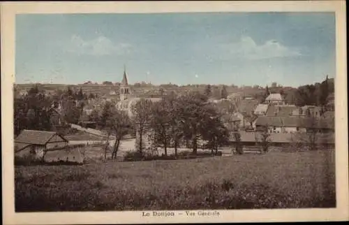 Ak Le Donjon Allier, Vue Generale