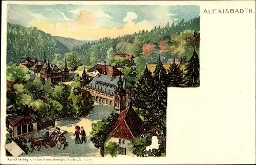 Litho Alexisbad Harzgerode am Harz, Straßenpartie mit Kutsche, Gebäude