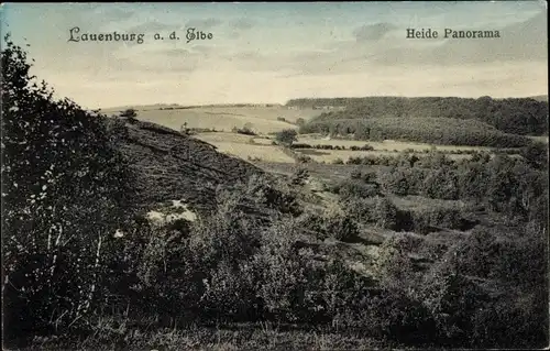 Ak Lauenburg an der Elbe, Heidepanorama