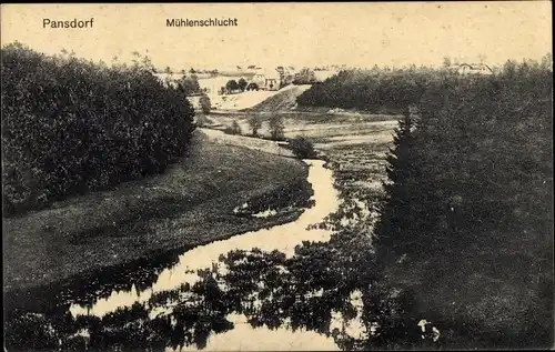 Ak Pansdorf Ratekau in Holstein, Mühlenschlucht