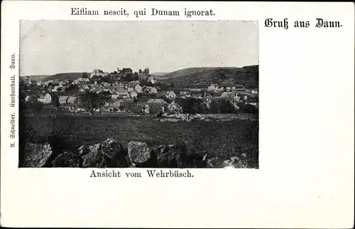 Ak Daun in der Eifel, Ansicht vom Wehrbüsch