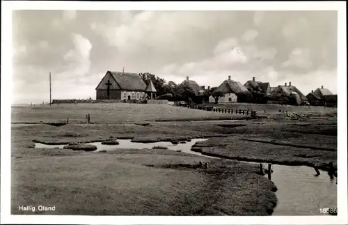 Ak Hallig Oland Nordfriesland, Teilansicht, Kirche