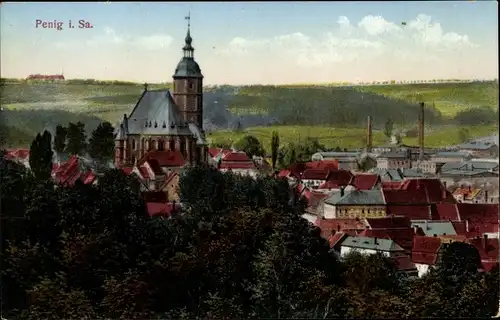 Ak Penig in Sachsen, Panorama