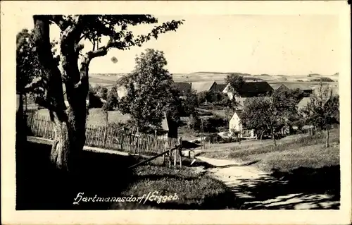 Foto Ak Hartmannsdorf Reichenau im Erzgebirge, Teilansicht