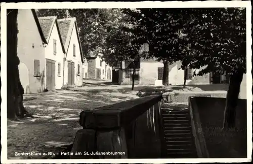 Ak Guntersblum am Rhein, St. Julianenbrunnen