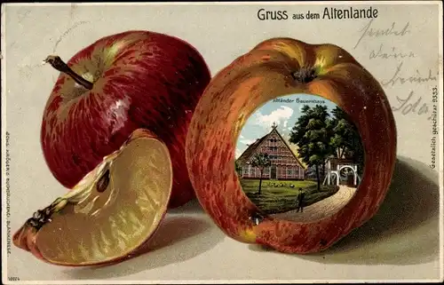 Präge Apfel Litho Gruß aus dem Altenlande, Altländer Bauernhaus