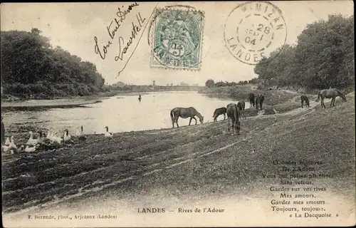 Ak Landes Frankreich, Rives de l'Adour
