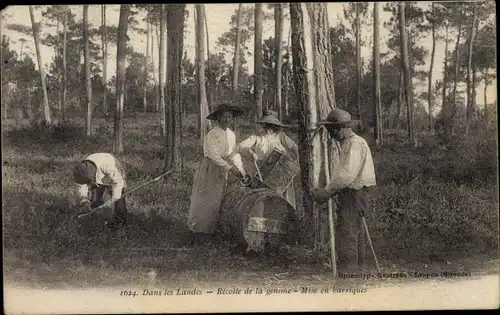 Ak Landes Frankreich, Recolte de la gemme, Mise en barriques, Gewinnung von Baumharz