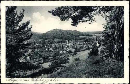 Ak Nagold im Schwarzwald, Totalansicht der Ortschaft vom Wolfsberg aus