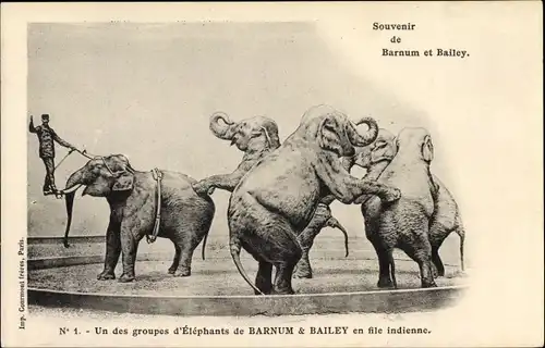 Ak Zirkus Barnum & Bailey, Un des groupes d'Éléphants, Elefanten