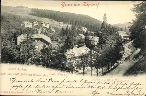 Ak Kipsdorf Altenberg im Erzgebirge, Villa Flora, Hotel und Bad Fürstenhof