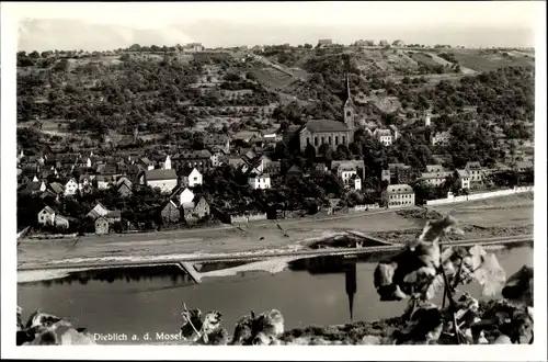 Ak Dieblich an der Mosel, Blick auf den Ort, Flusspartie, Kirche, Felder