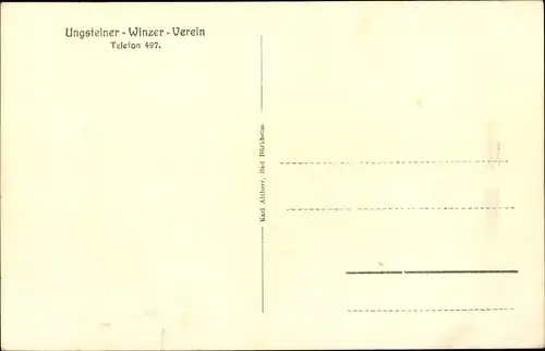 Ak Ungstein Bad Dürkheim am Pfälzerwald, Totale