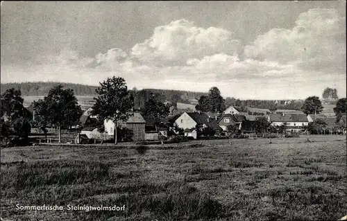 Ak Steinigtwolmsdorf in der Lausitz, Teilansicht