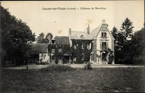 Ak Ouzouer sur Trézée Loiret, Château de Montlion